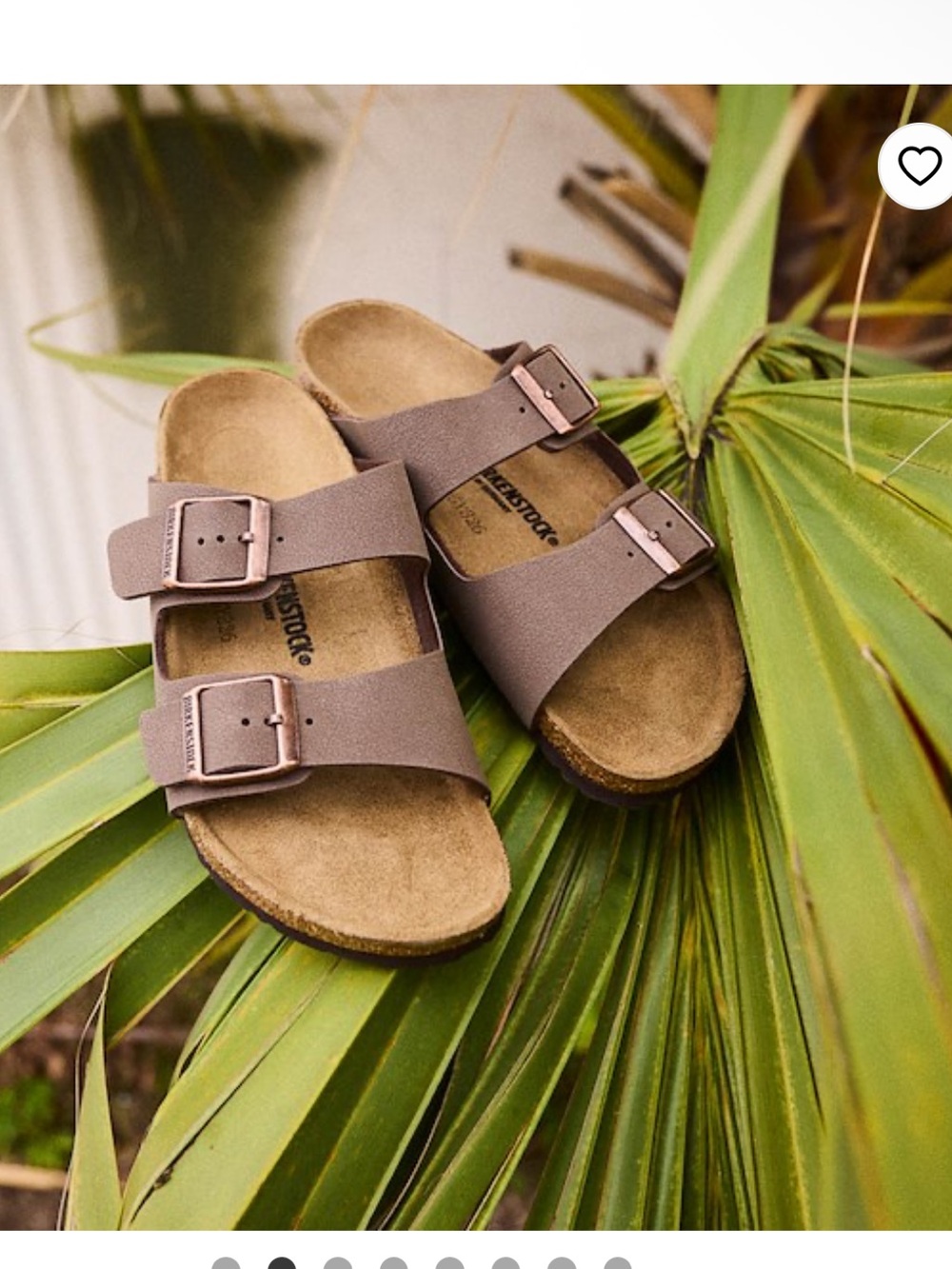 Birkenstock Arizona Two-Strap Sandals in Taupe Brown